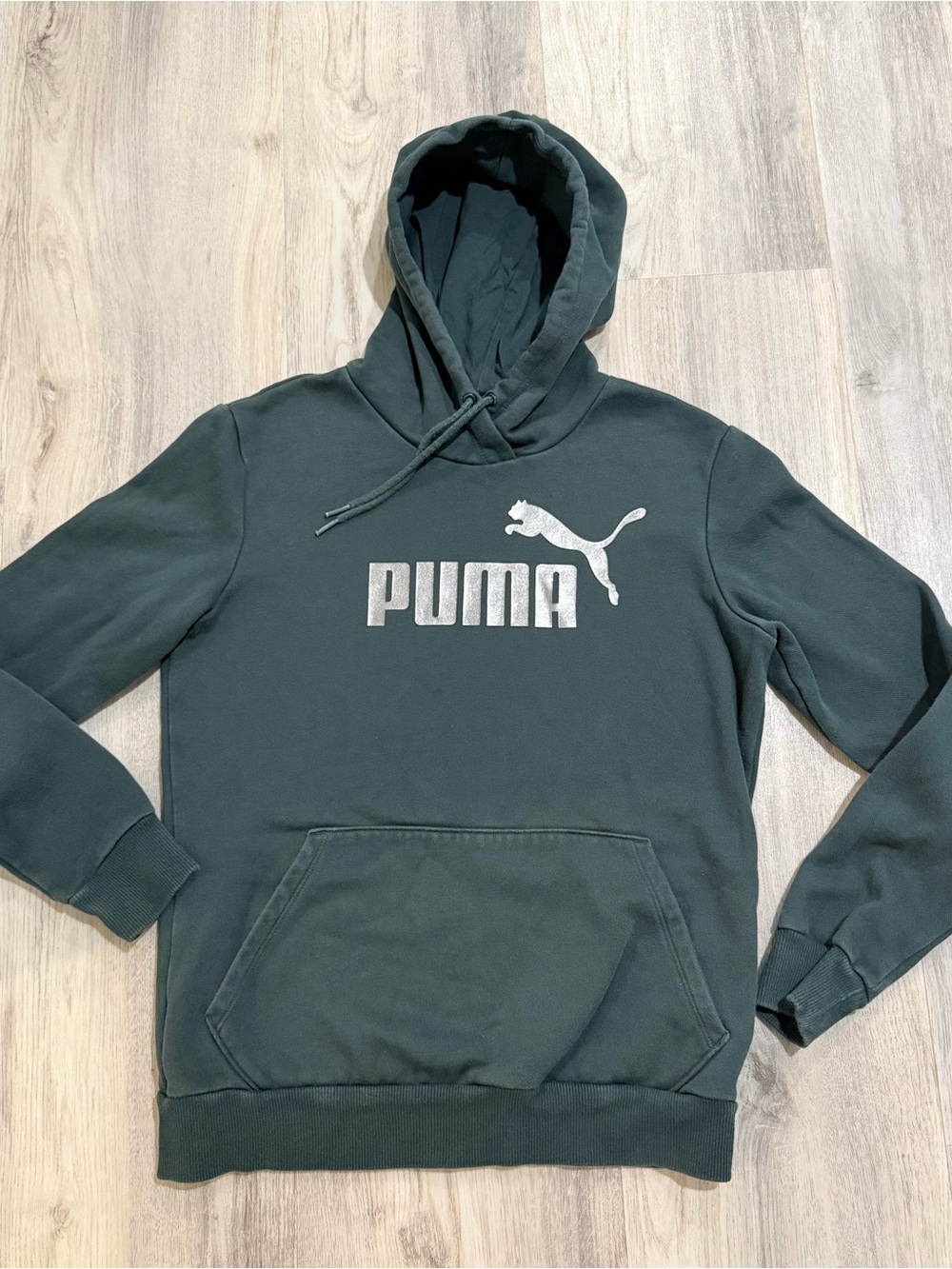 Puma Essentials Big Logo Hoodie Green Boys Size 7/8 Small